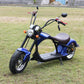 e scooter roller city coco chopper Rooder 2000w 20ah blue