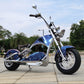 mangosteen chopper Rooder m1ps Sara D Custom 72v 4000w 40ah 80km/h EEC COC