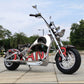 mangosteen chopper Rooder m1ps Sara D Custom 72v 4000w 40ah 80km/h EEC COC