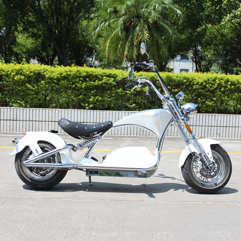 mangosteen chopper Rooder m1ps Sara D 72v 4000w 40ah 80kmh EEC COC