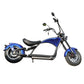 Rooder Mangosteen Arrow M1p Bike e Chopper 2000w 28ah 30ah Price