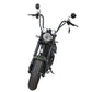 Rooder Mangosteen Arrow M1p Bike e Chopper 2000w 28ah 30ah Price