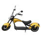 Rooder Mangosteen Arrow M1p Bike e Chopper 2000w 28ah 30ah Price