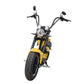 Rooder Mangosteen Arrow M1p Bike e Chopper 2000w 28ah 30ah Price