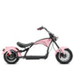 Rooder Mangosteen Arrow M1p Bike e Chopper 2000w 28ah 30ah Price