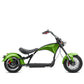 Rooder Mangosteen Arrow M1p Bike e Chopper 2000w 28ah 30ah Price