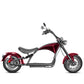 Rooder Mangosteen Arrow M1p Bike e Chopper 2000w 28ah 30ah Price