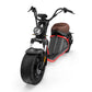 Rooder Mangosteen Alligator M2 Electric Scooter e Roller 3000w 40ah