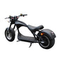 roller elektro Rooder citycoco chopper custom m1 eec coc